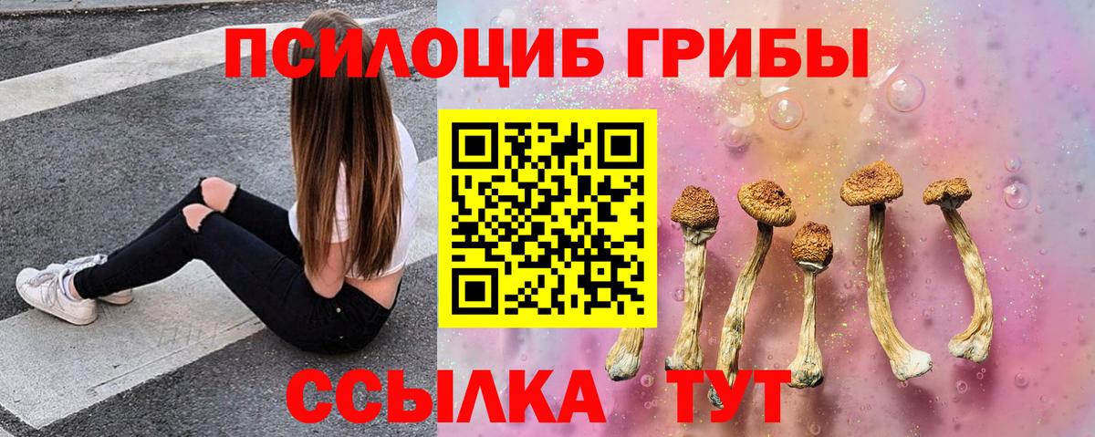 Когалым  Псилоцибиновые грибы Psilocybine cubensis  Вход с VPN  Псилоцибиновые грибы Psilocybe 